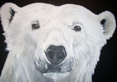 polar bear 3